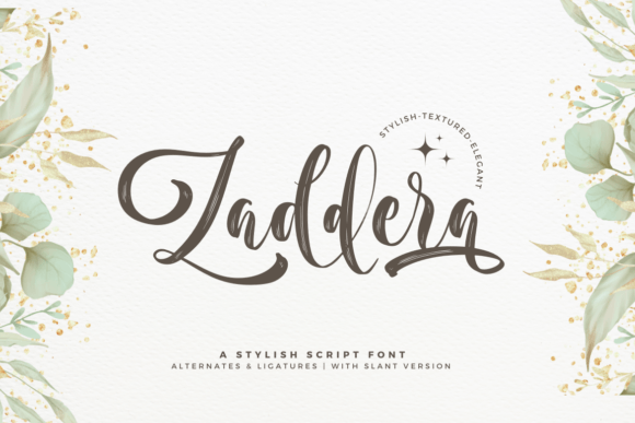 Choosing Zaddera: A Font That Transformed a Landing Page's Brand Feel