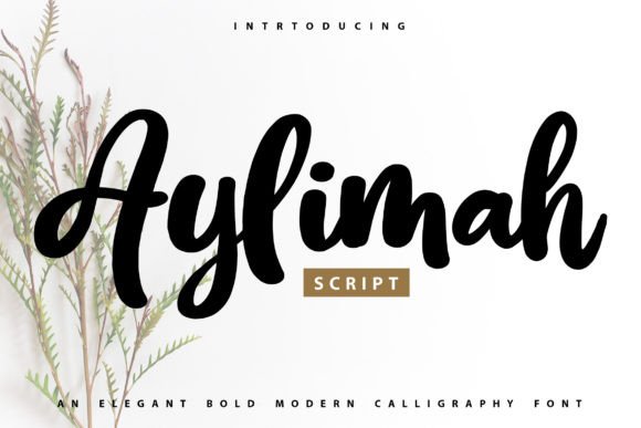 How the Aylimah Font Helped My Business Look Polished and Consistent
